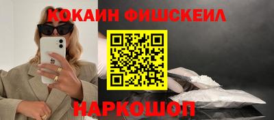 крисы Коммунар