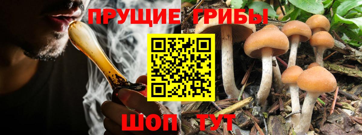 Галлюциногенные грибы MAGIC MUSHROOMS Кимовск