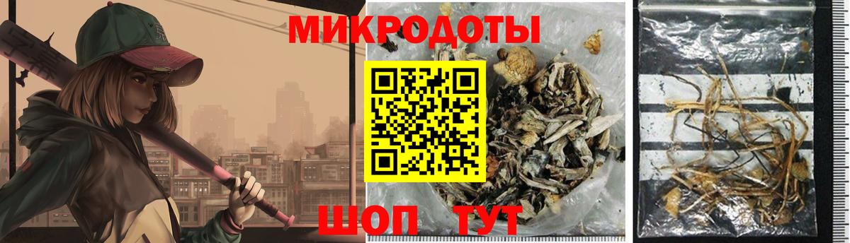 Кимовск  сколько стоит  Вход с VPN  Галлюциногенные грибы прущие грибы 
